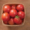 Pink Bumble Bee - Organic Tomato Seed