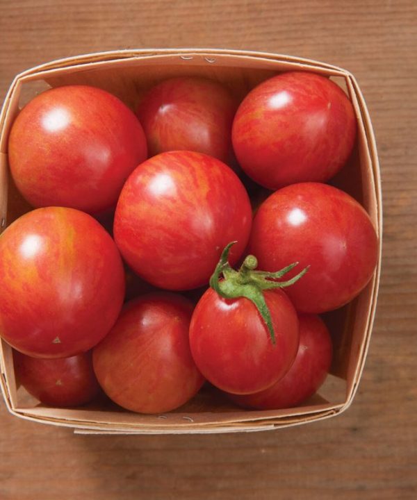 Pink Bumble Bee - Organic Tomato Seed