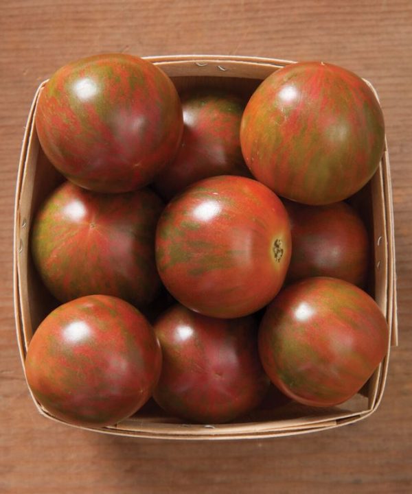 Purple Bumble Bee - Organic Tomato Seed