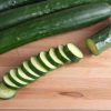 Nokya - (F1) Cucumber Seed