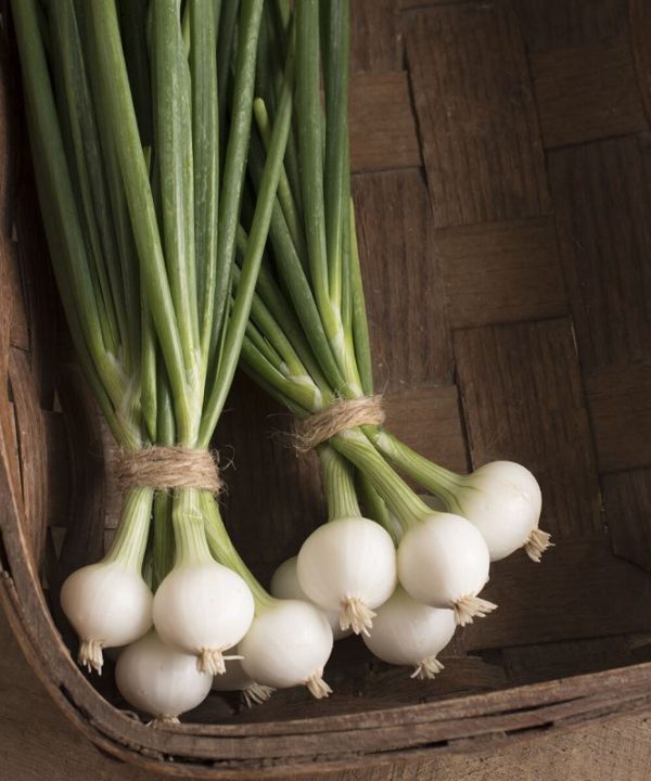 Pompeii - Onion Seed
