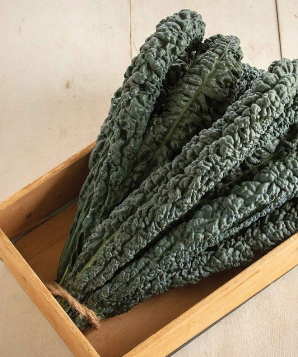 Black Magic - Kale Seed