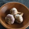 Chesnok Red - Organic Garlic Bulbs