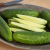 Citadel - (F1) Cucumber Seed