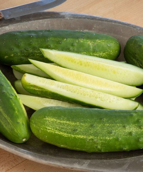 Citadel - (F1) Cucumber Seed