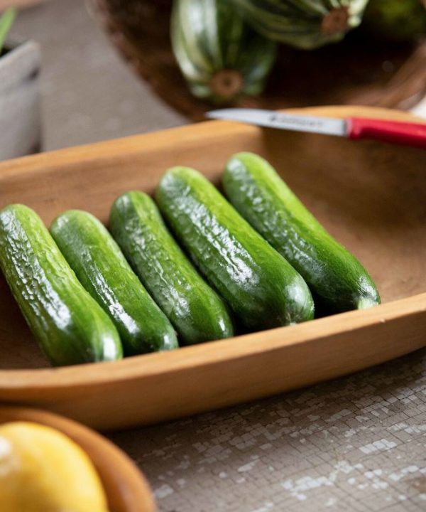 Picolino - Organic (F1) Cucumber Seed