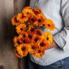 Orange Button - Calendula Seed
