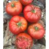 Tasmanian Chocolate - Organic Tomato Seed