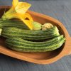 Pantheon - Film-Coated (F1) Zucchini Squash Seed