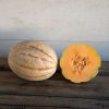 Hannah's Choice - (F1) Melon Seed
