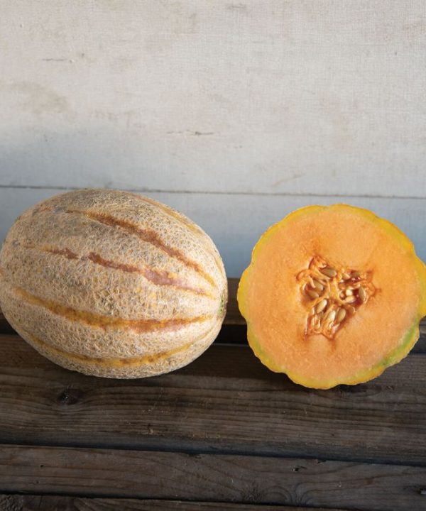 Hannah's Choice - (F1) Melon Seed