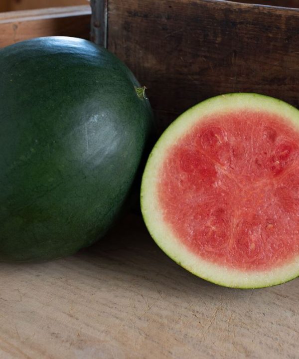 Chubbiness - (F1) Watermelon Seed