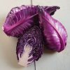 Candy Red - Cabbage Seed