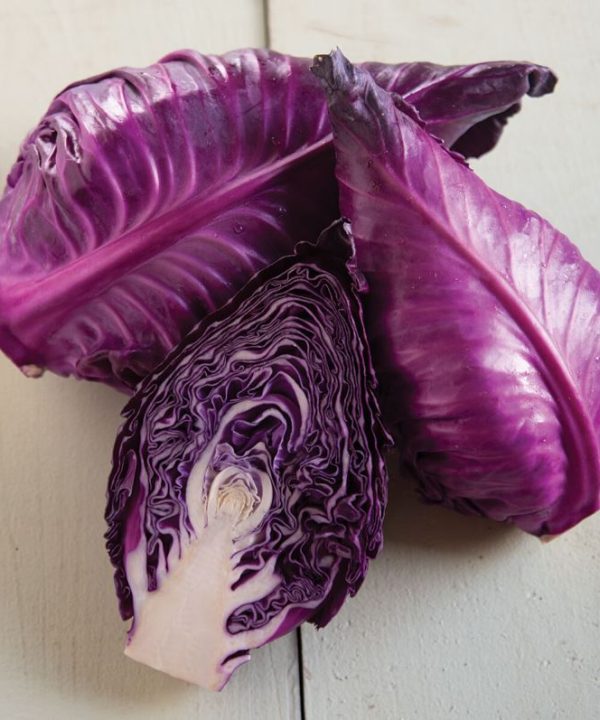 Candy Red - Cabbage Seed