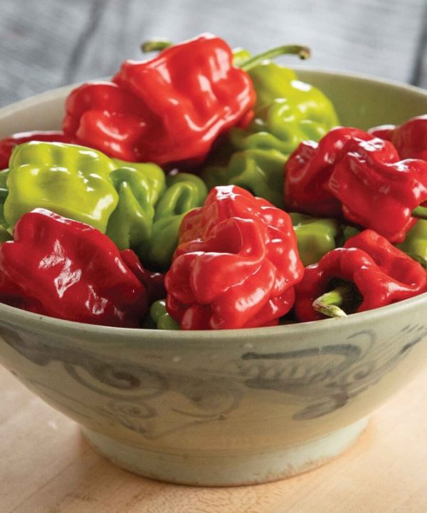 Dragon's Toe - (F1) Chinese Pepper Seed