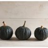 Tetsukabuto - (F1) Hubbard Squash Seed