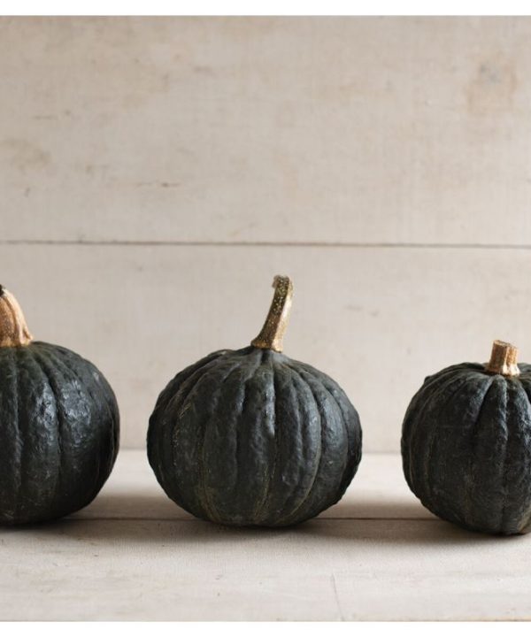 Tetsukabuto - (F1) Hubbard Squash Seed