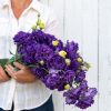 Voyage 2 Blue - (F1) Lisianthus
