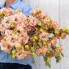 Voyage 2 Light Apricot - (F1) Lisianthus