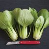 Li Ren Choi - (F1) Bok Choy Seeds