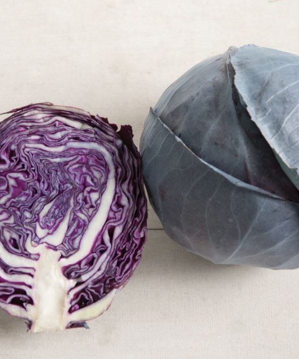 Omero - (F1) Cabbage Seed