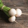 Avalanche - White Beet Seeds