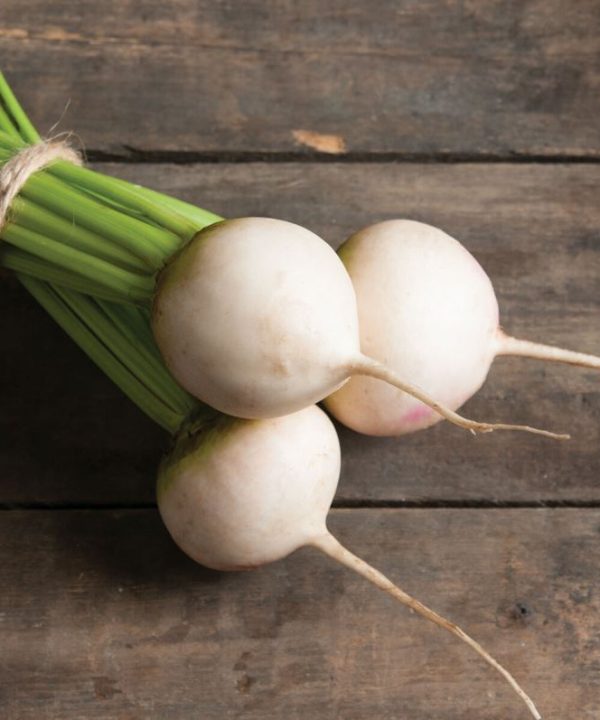 Avalanche - White Beet Seeds