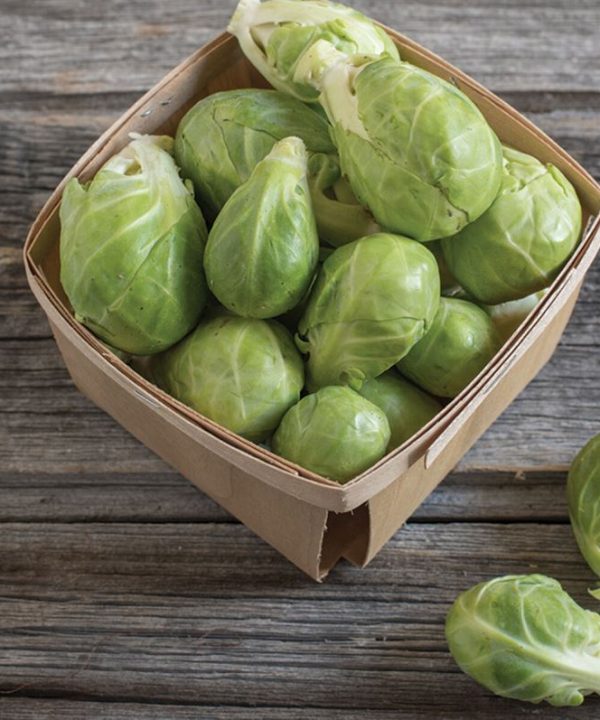 Dagan - (F1) Brussels Sprout Seed
