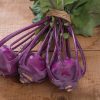 Azur Star - Organic Kohlrabi Seed