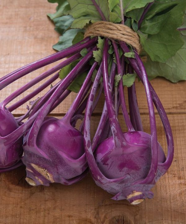 Azur Star - Organic Kohlrabi Seed
