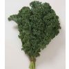 Winterbor - (F1) Kale Seed