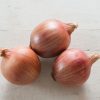 Blush - (F1) Onion Seed