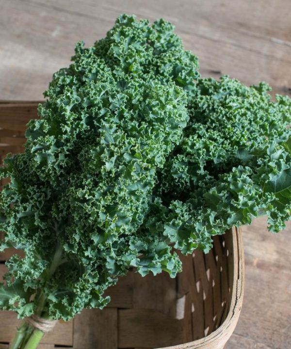 Darkibor - Organic (F1) Kale Seed