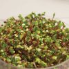 Radish, Triton - Organic Sprouting Seeds