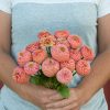 Oklahoma Salmon - Zinnia Seed