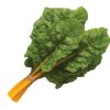 Orange Ribbed - Organic Swiss Chard Seed
