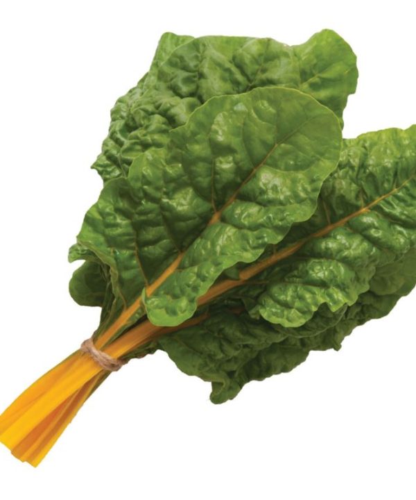 Orange Ribbed - Organic Swiss Chard Seed