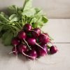 Bacchus - (F1) Purple Radish Seeds