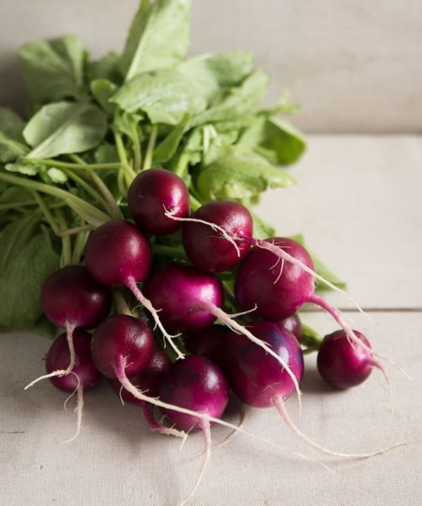 Bacchus - (F1) Purple Radish Seeds