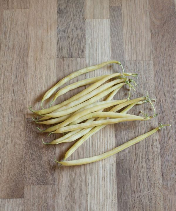 Pauldor - Bean Seed