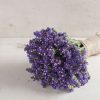 Seeker Blue - Statice Seed
