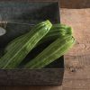 Flaminio - (F1) Zucchini Squash Seed