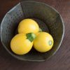 One Ball - (F1) Squash Seed