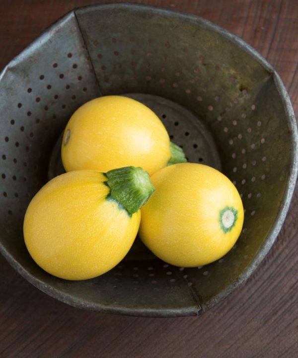 One Ball - (F1) Squash Seed