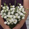 Doublini White - (F1) Lisianthus Seed