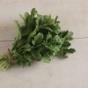 Esmee - Organic Arugula Seed