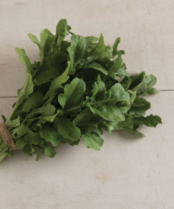 Esmee - Organic Arugula Seed