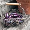 Patio Baby - (F1) Eggplant Seed