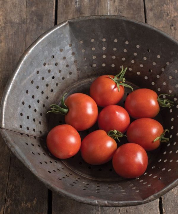 Glacier - Organic Tomato Seed