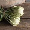 Korist - Organic (F1) Kohlrabi Seed